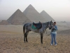 Egypt2006 27